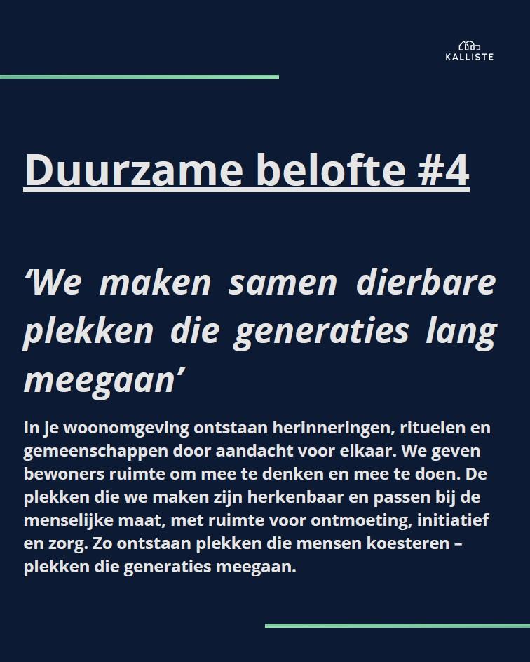 Beeld 4.1.jpg
