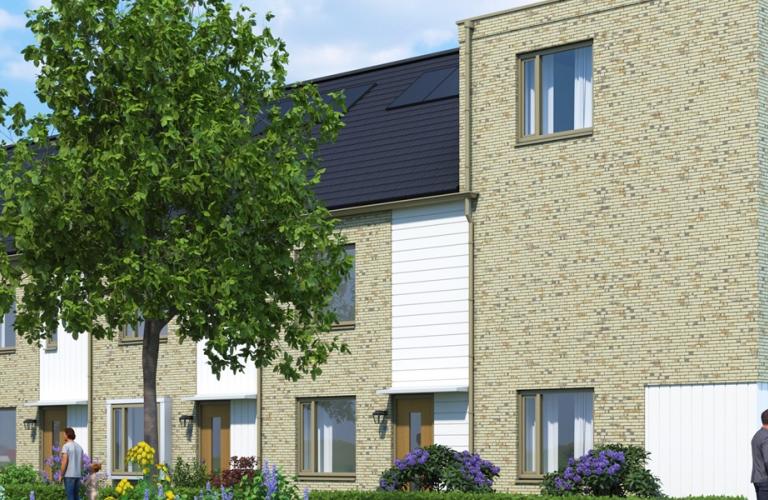 Maassluis - Vogelrijk