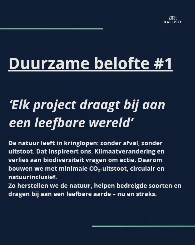 beeld 1.jpg