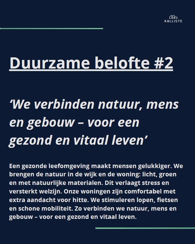 Beeld 2.jpg