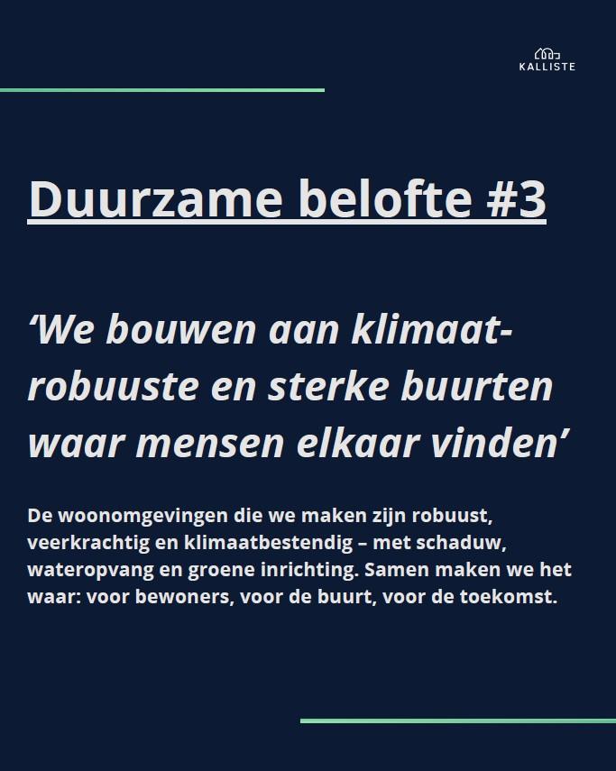 Beeld 3.jpg